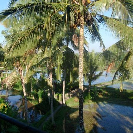 Toko Toko Bungalows อูบุด ภายนอก รูปภาพ